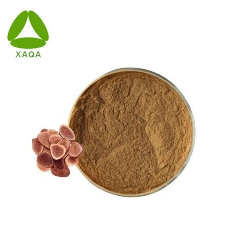 Диктің жұтынуының қысқаша бейнелері